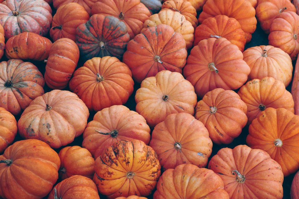 pumpkin, vegetables, halloween-7496159.jpg